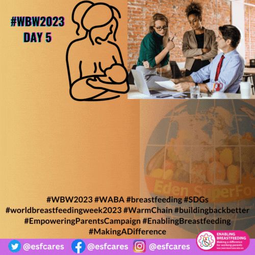 Challenges Faced by Working Mothers and Ways Out – WBW2023 Day 5