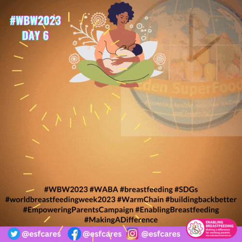 The Missing Piece to Breastfeeding Support for Working Mothers – WBW2023 Day 6