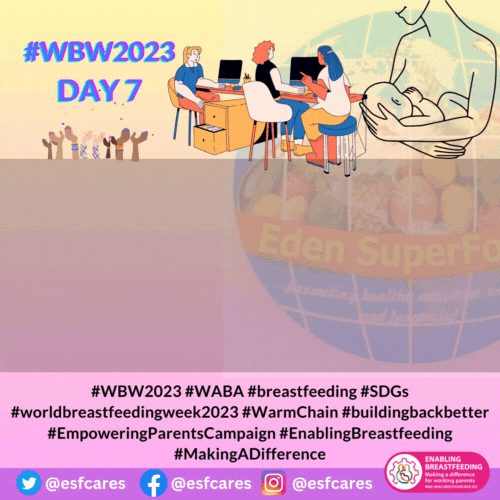 Global Perspectives on Workplace Breastfeeding Facilities: Progress and Challenges – WBW2023 Day 7